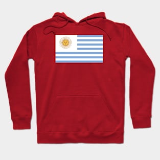 United States of Argentina Hoodie